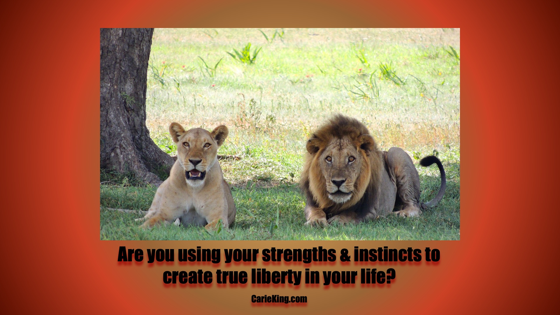 Read more about the article Create true liberty in your life