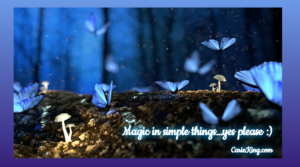 Read more about the article Magic in simple things